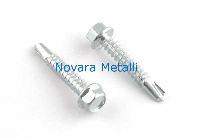 Viti Lamiera Testa Capriata Viti Per Lamiera Testa A Capriata In Acciaio Inox 316, #6 X 1/4, Pack Da 500 Pezzi Principia Mathematica Russell