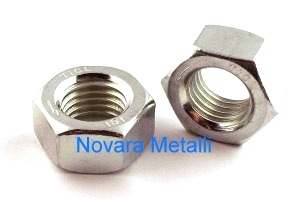 denzn1nm