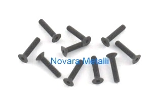 microvtseinenm